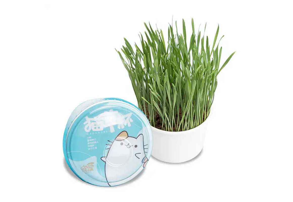 杯裝貓草封口機(jī)：為愛寵貓咪鎖住新鮮綠意