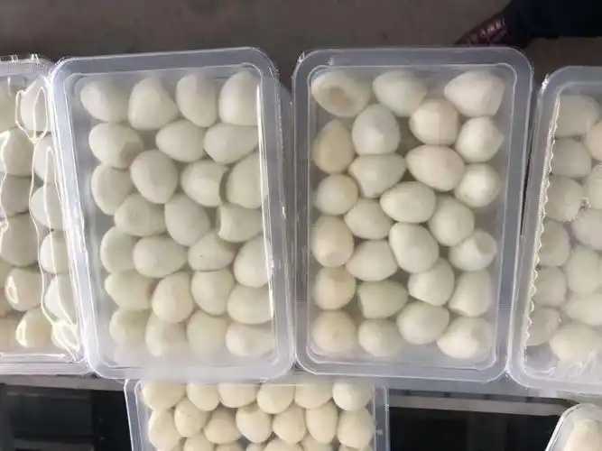 整線解決方案，優(yōu)化生產(chǎn)流程：鵪鶉蛋包裝神器來襲